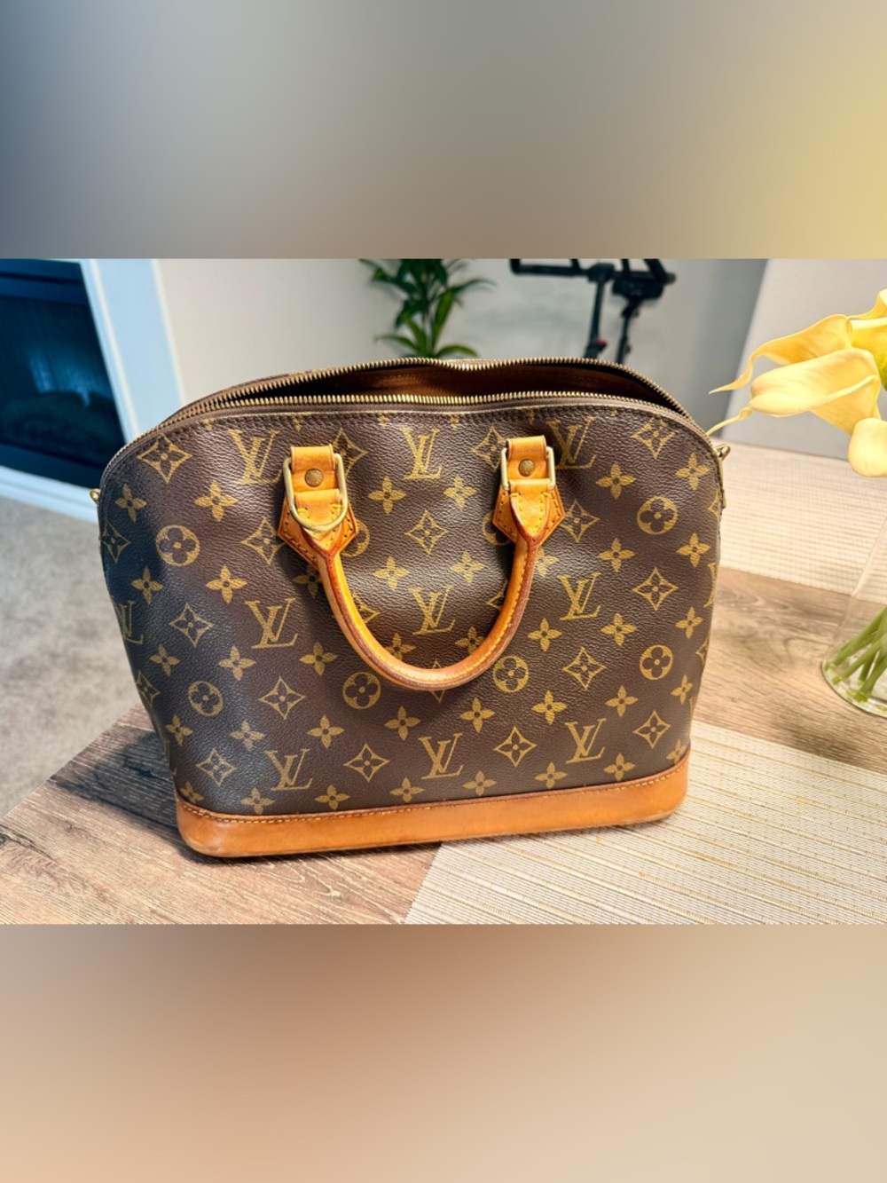 Louis Vuitton Monogram Alma PM in Brown and Tan